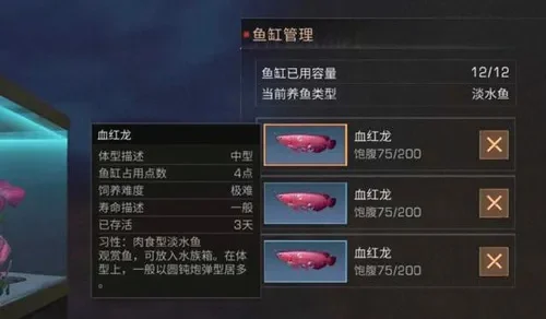 明日之后血红龙在哪钓-血红龙钓点及技巧