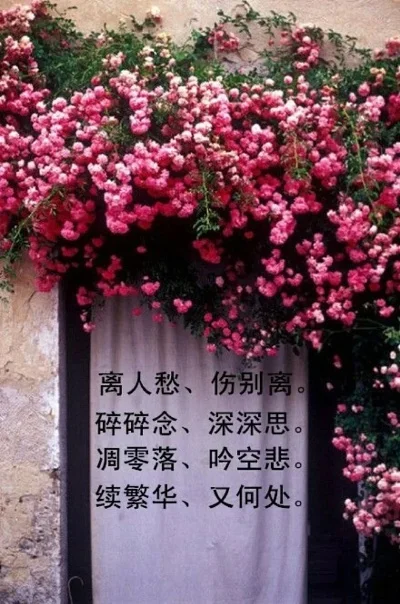 繁华落幕离人难敢诉衷肠-繁华落幕情难说