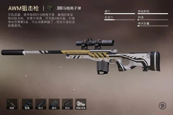 和平精英awm-和平精英AWM制霸