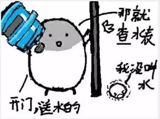 查水表是什么梗-游戏圈文化密码“查水表”解析