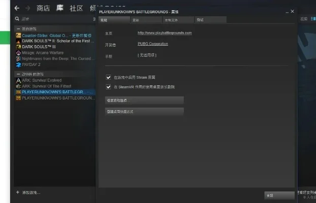绝地求生启动项-绝地求生优化启动项