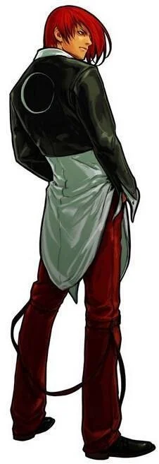 八神庵的女朋友-八神庵虚拟女友传说