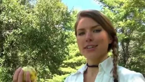 美女射苹果游戏攻略秘籍-美女射苹果攻略秘籍