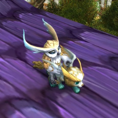 魔兽小宠物攻略