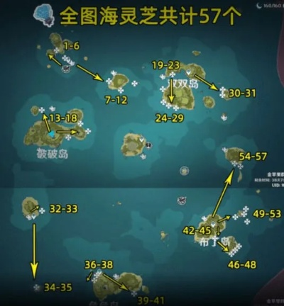 元神海灵芝位置