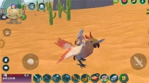 创造与魔法鹦鹉在什么地方-鹦鹉栖息地大揭秘