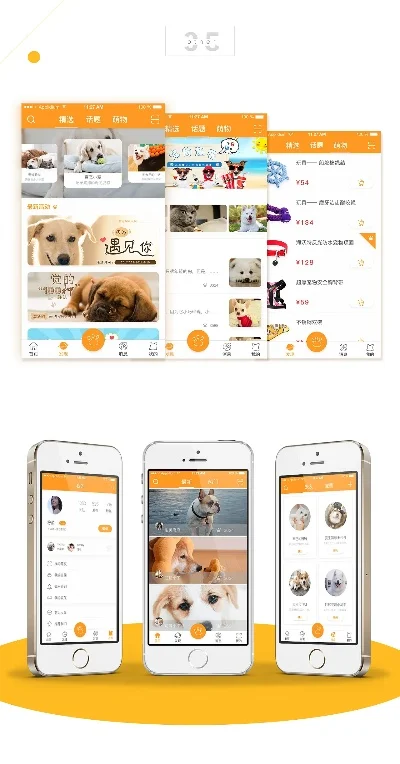 手机宠物app-虚拟宠物成甜蜜陷阱