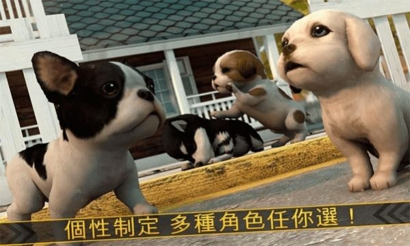 邪恶小狗游戏如何快速通关？解锁全结局秘籍省30小时