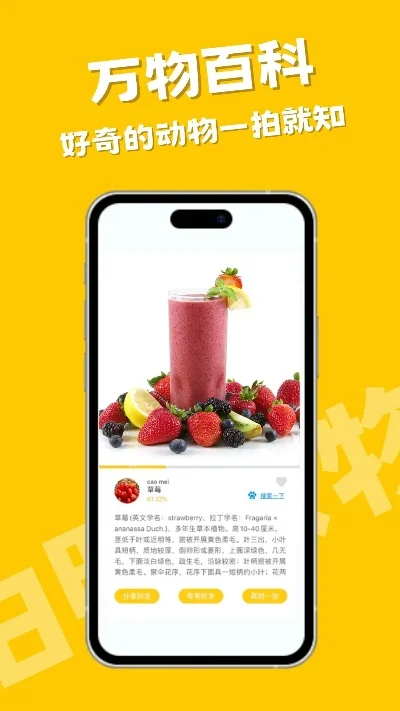 扫一扫就能辨别物品-扫描识物革新游戏