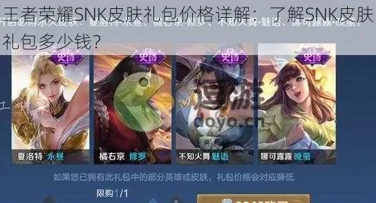 王者荣耀snk皮肤礼包价格介绍-王者荣耀SNK皮肤礼包价格解析