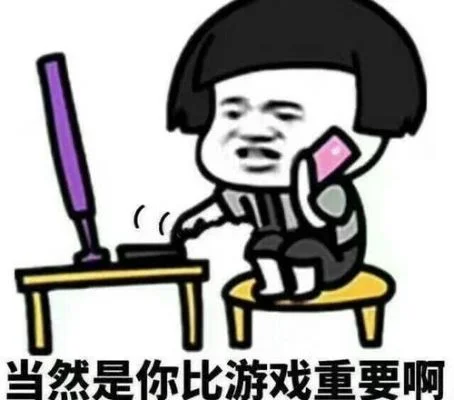 我明白我明白我给不起-游戏中的无奈抉择