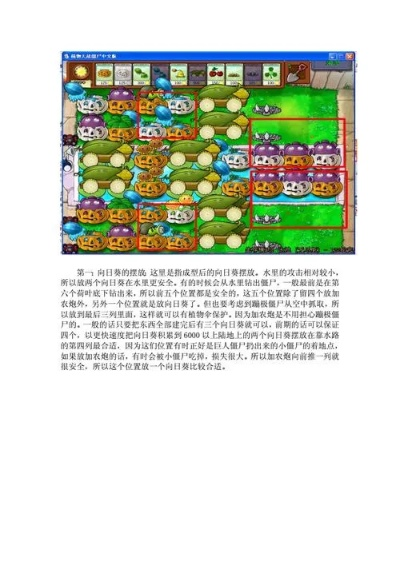 植物大战僵尸玩法技巧