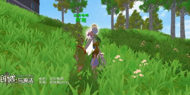 创造与魔法郁金香平原在-创造魔法郁金香之旅