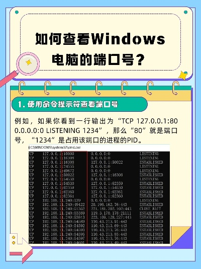 电脑端口号查看全攻略,端口查询方法对比