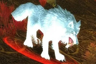 魔兽WLK诺森德狼群分布全攻略_省3小时探索时间
