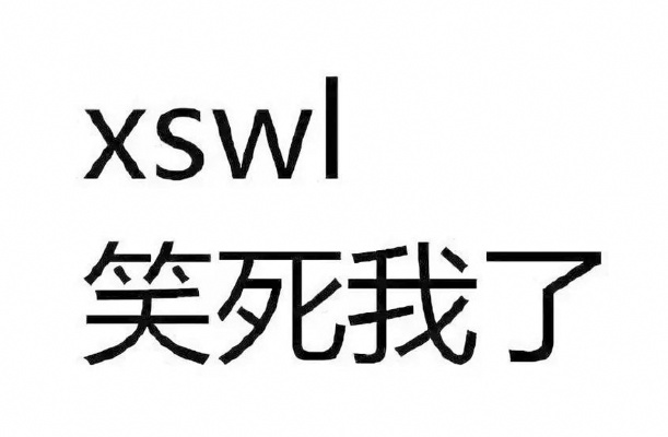 xswl是什么意思,网络热词xswl的起源与用法解析