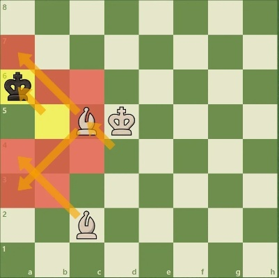 为什么新手总输棋_国际象棋避坑全流程指南